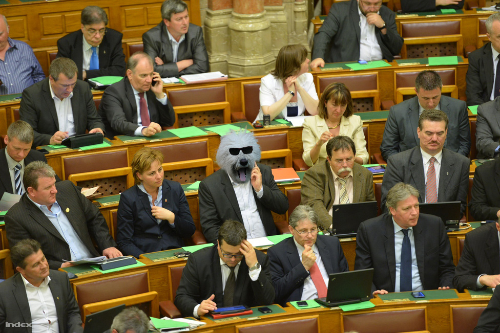 Illustration for article titled Egy mondatával sztár lett, mert a nője átesett a komondoron