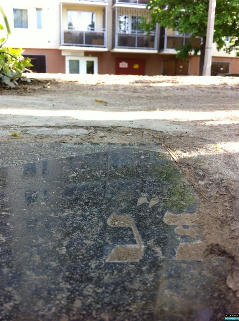 Illustration for article titled Zsidó sírkövön taposnak a miskolci temető bejáratánál