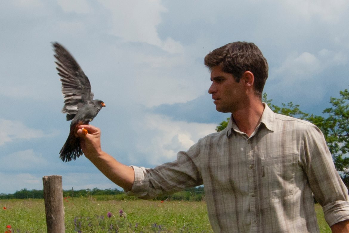 Egzotikus külsejű, legyengült ragadozót találtak Ópusztaszeren