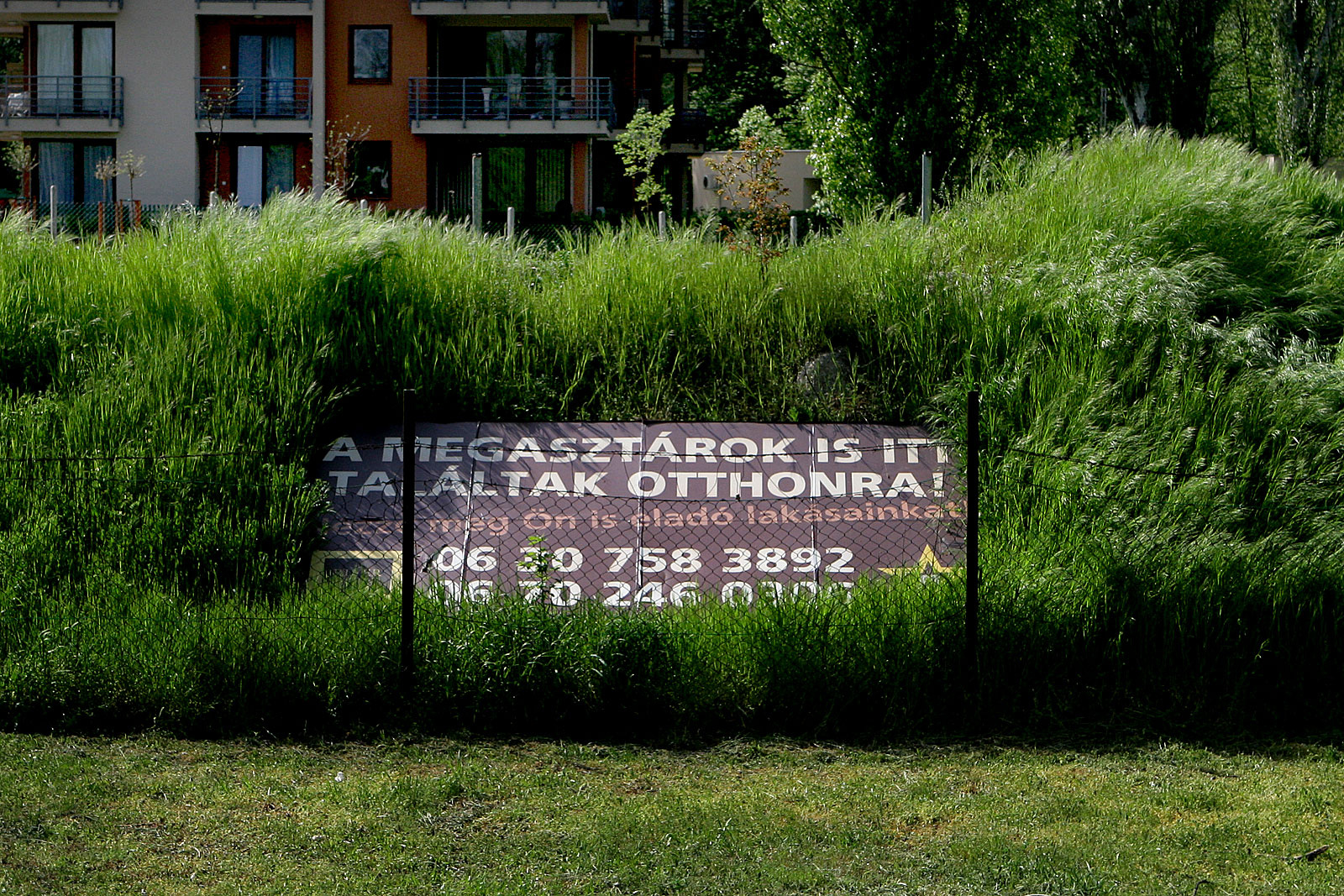 Házak dőlhetnek romba a III. kerület szívében?