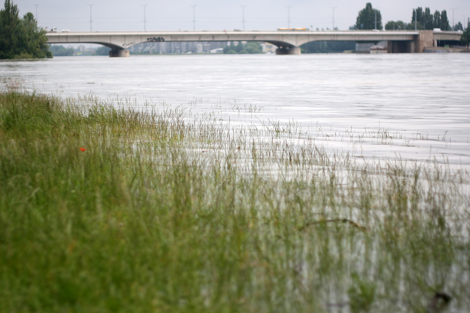 Illustration for article titled Javában homokzsákolnak Budapesten is — a Cink képriportja