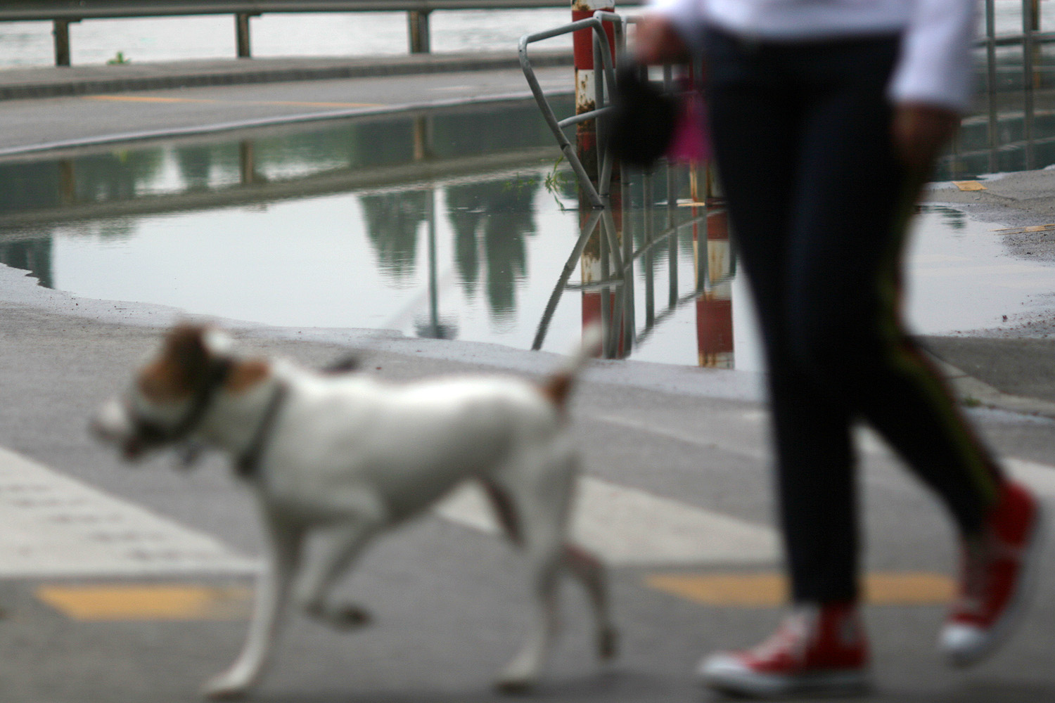 Illustration for article titled Javában homokzsákolnak Budapesten is — a Cink képriportja