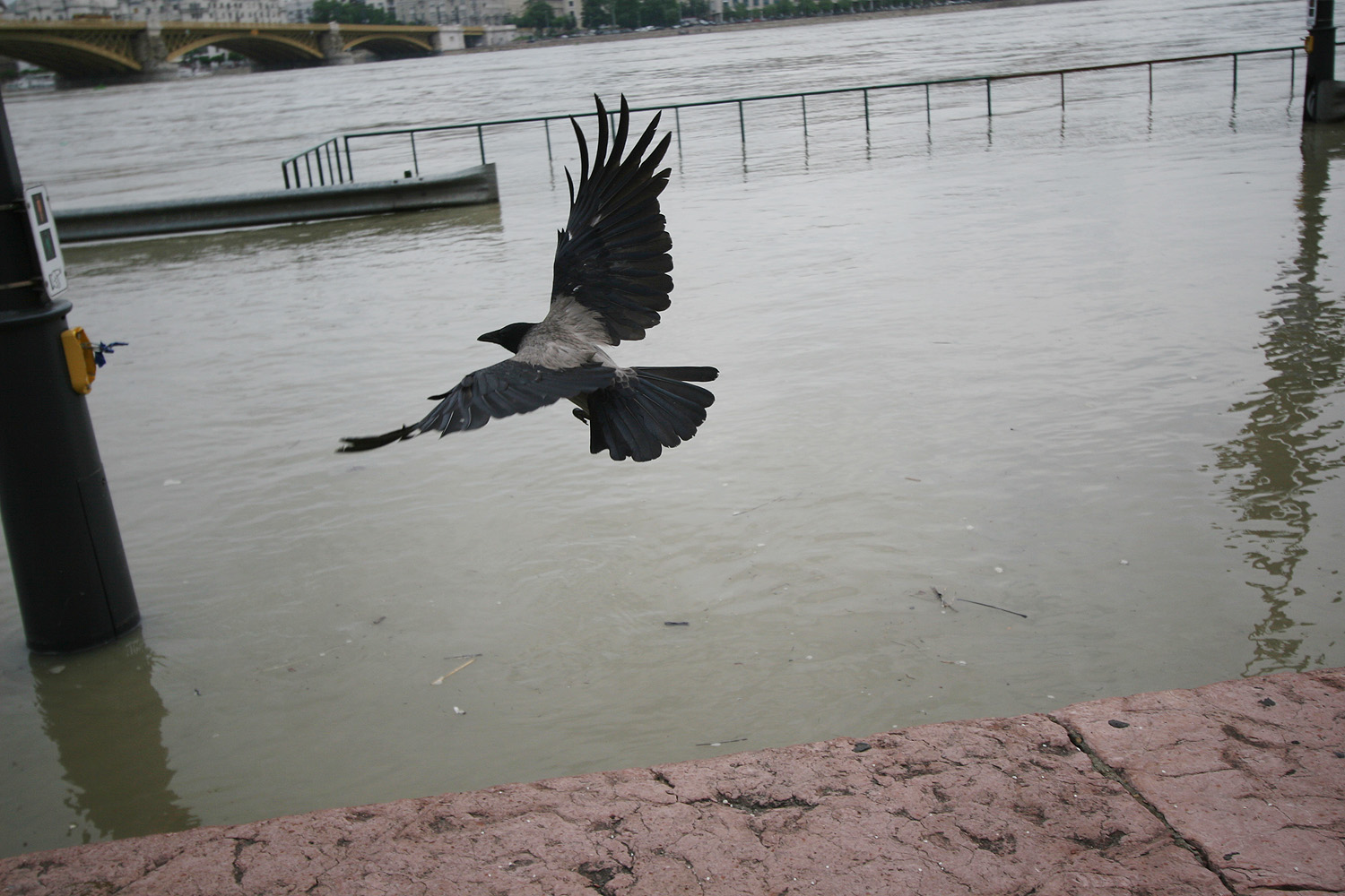 Illustration for article titled Javában homokzsákolnak Budapesten is — a Cink képriportja