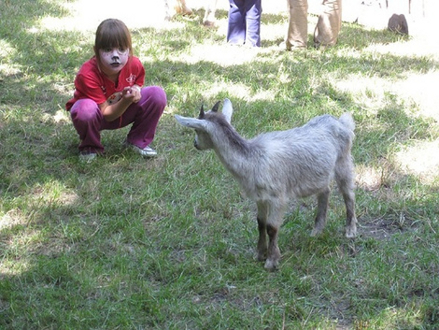 A Flórián térre menekítik a Gyerek Szigetet a Hajógyári-szigetről