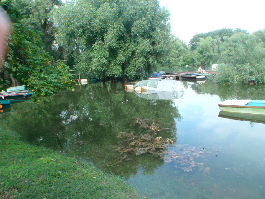 Illustration for article titled Az árvíz nemcsak szopás: horgászkalandok Hároson