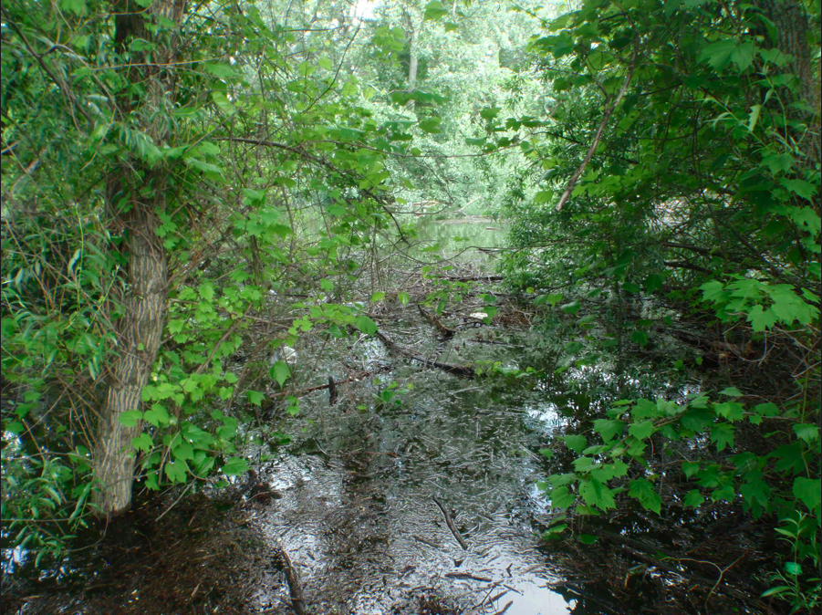 Illustration for article titled Az árvíz nemcsak szopás: horgászkalandok Hároson