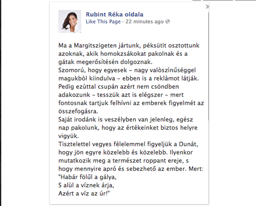 A toronyház tizedik emeletén fenyegeti a Duna Rubint Rékát!