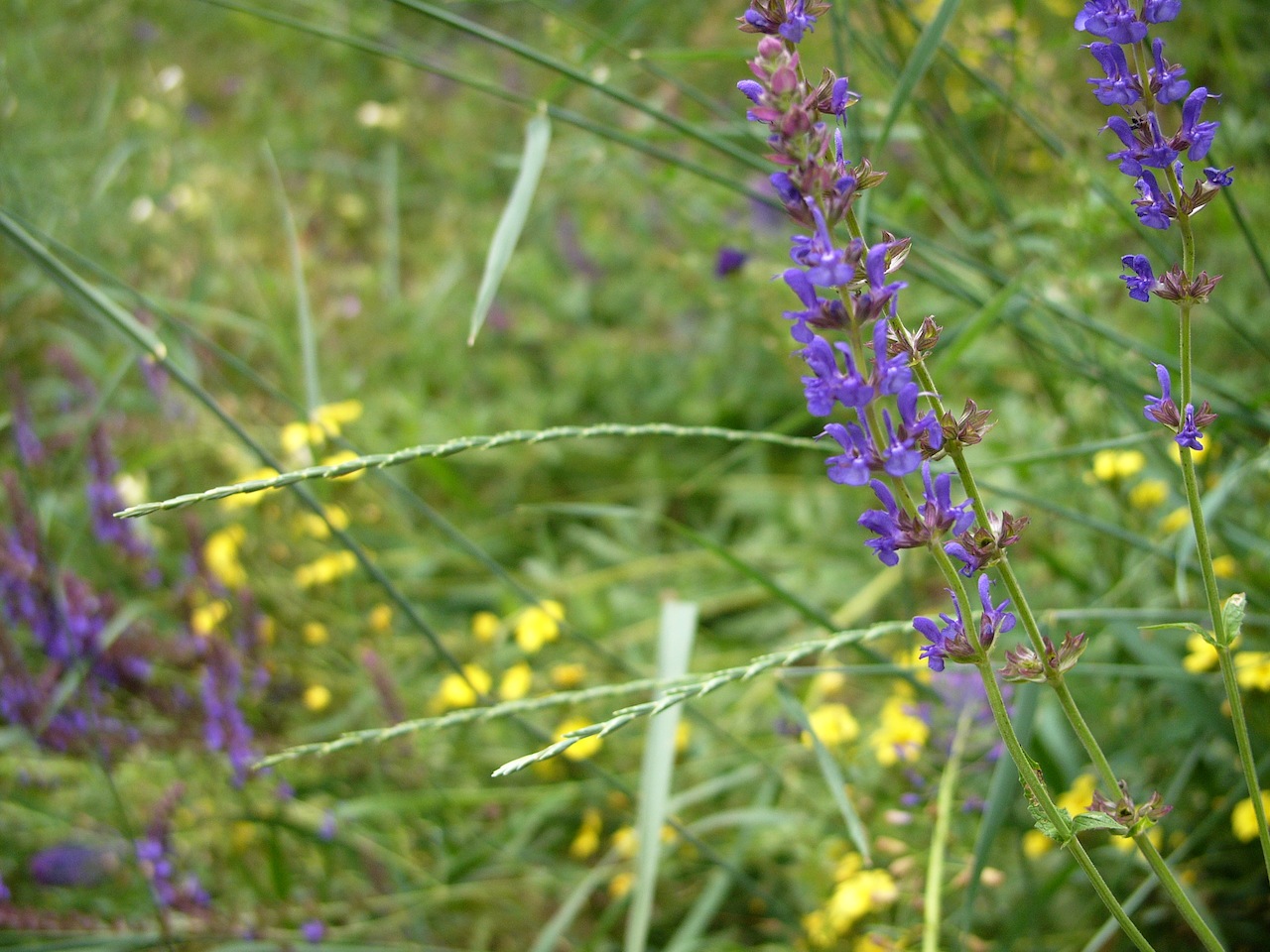 Illustration for article titled Napsütésben a dunai árvíz a Gellért-hegyről (péntek)