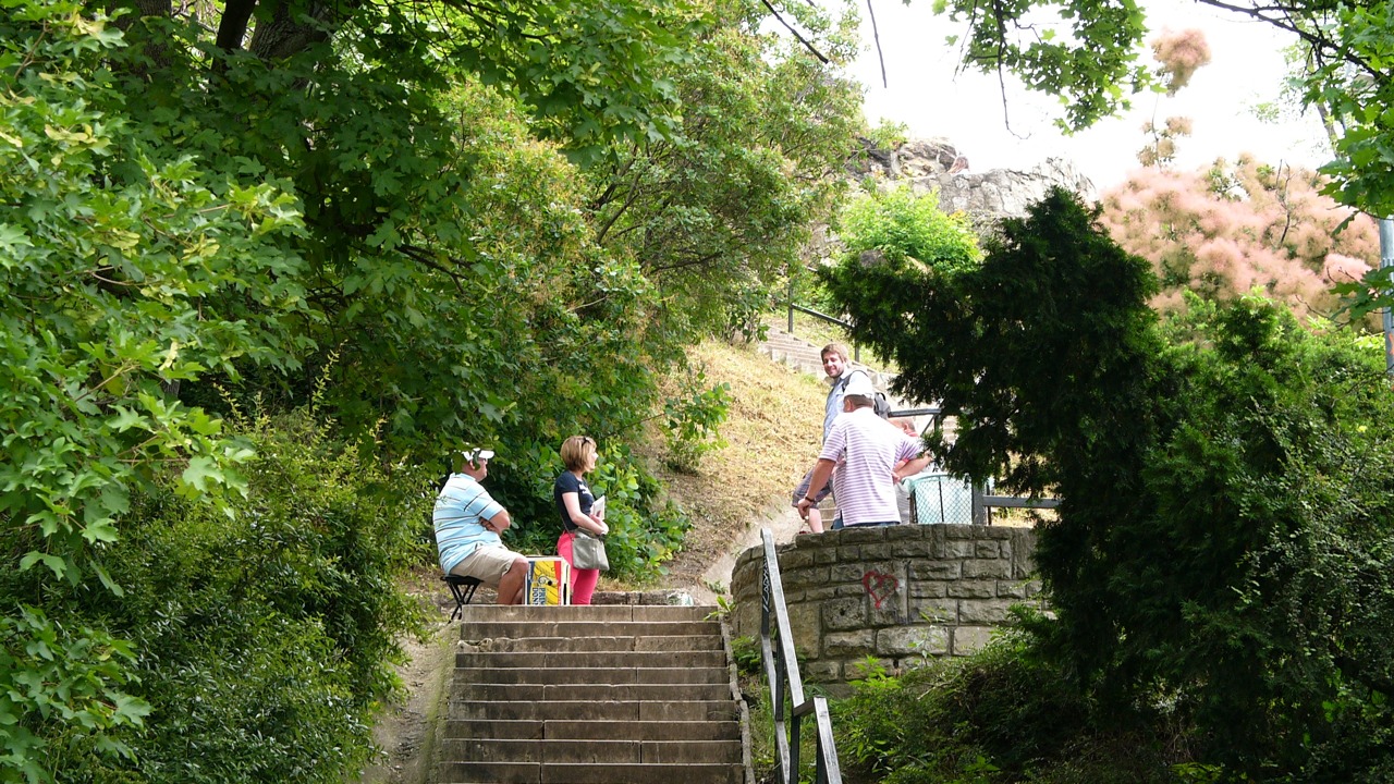 Illustration for article titled Napsütésben a dunai árvíz a Gellért-hegyről (péntek)