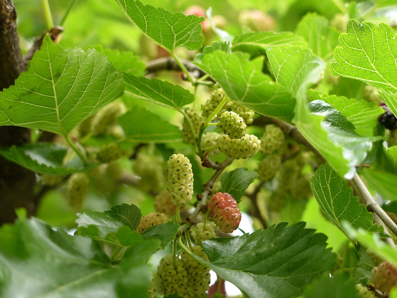 Illustration for article titled Napsütésben a dunai árvíz a Gellért-hegyről (péntek)