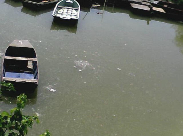 Illustration for article titled Nézd élőben az árt!