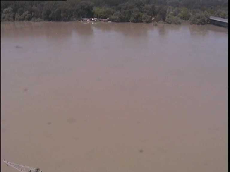 Illustration for article titled Nézd élőben az árt!