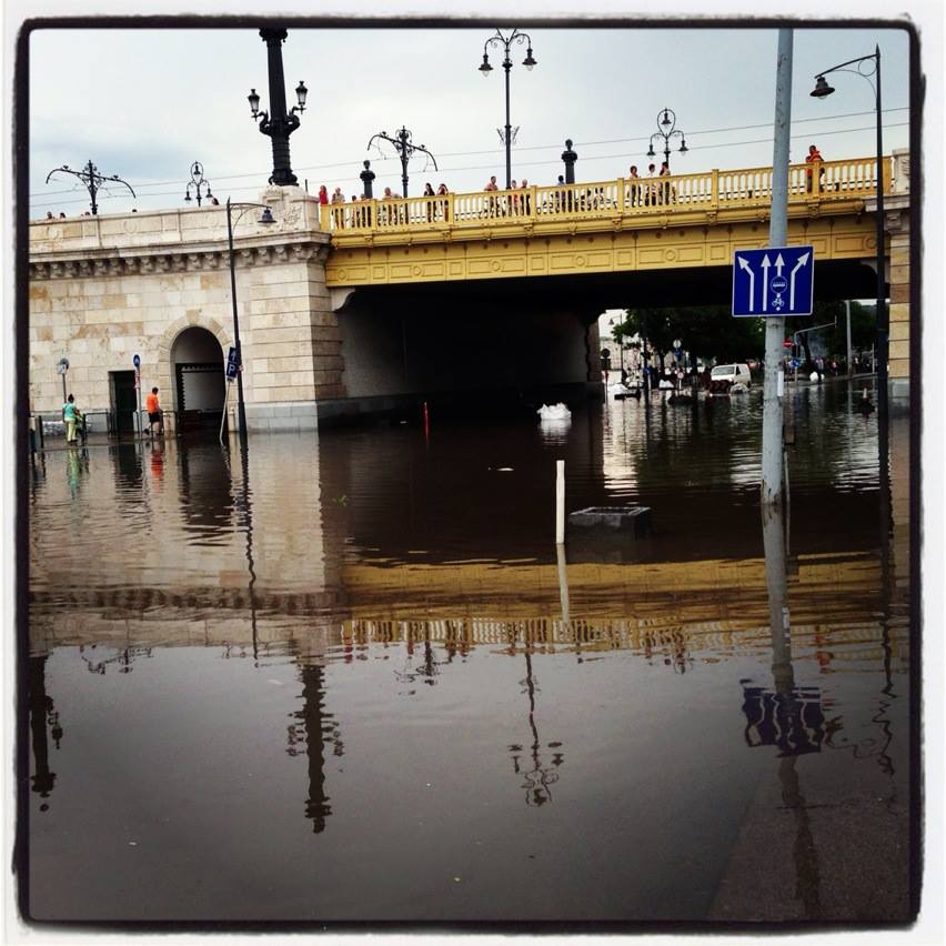 Illustration for article titled Buzgárparadicsom lett a Vízivárosból