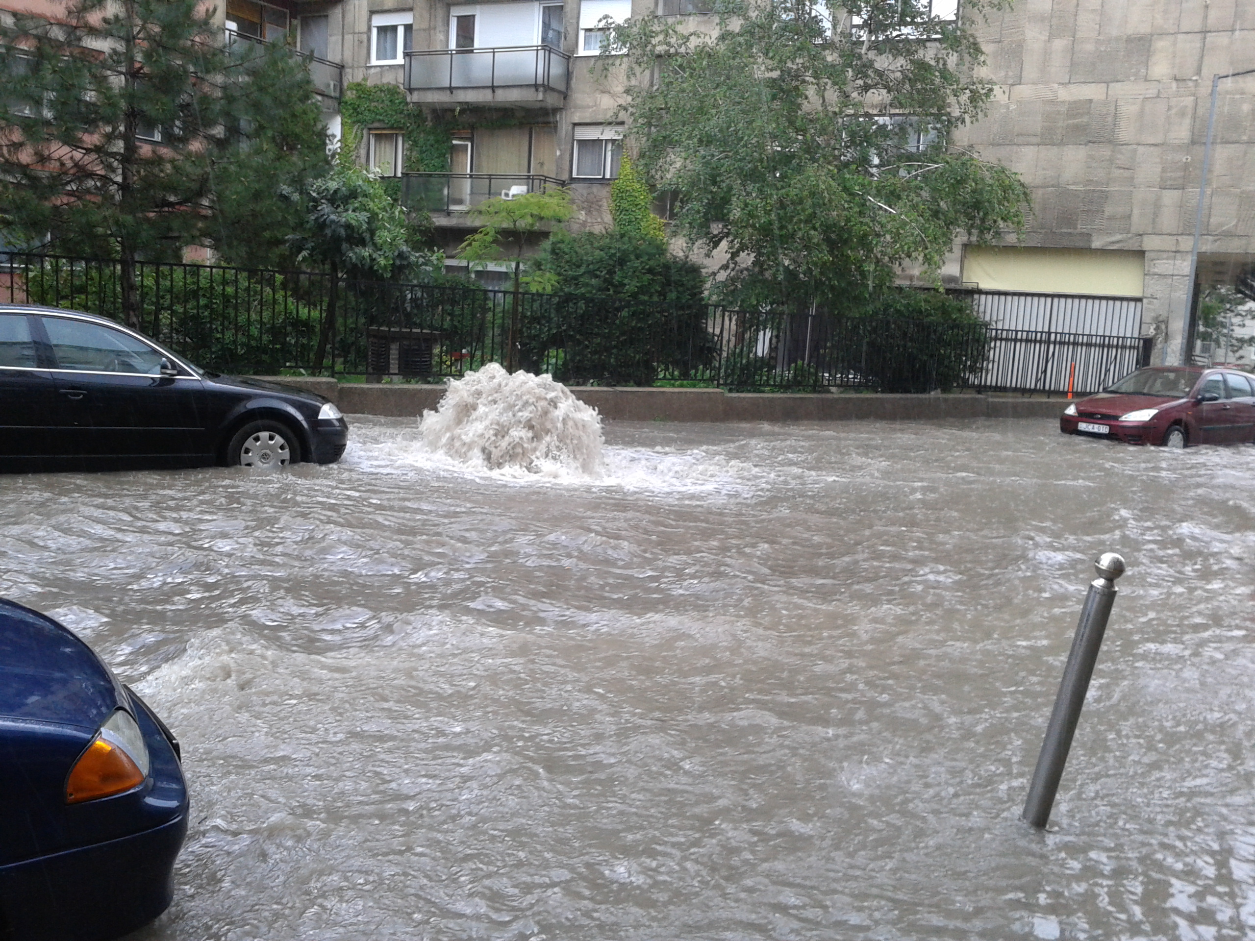 Illustration for article titled Buzgárparadicsom lett a Vízivárosból