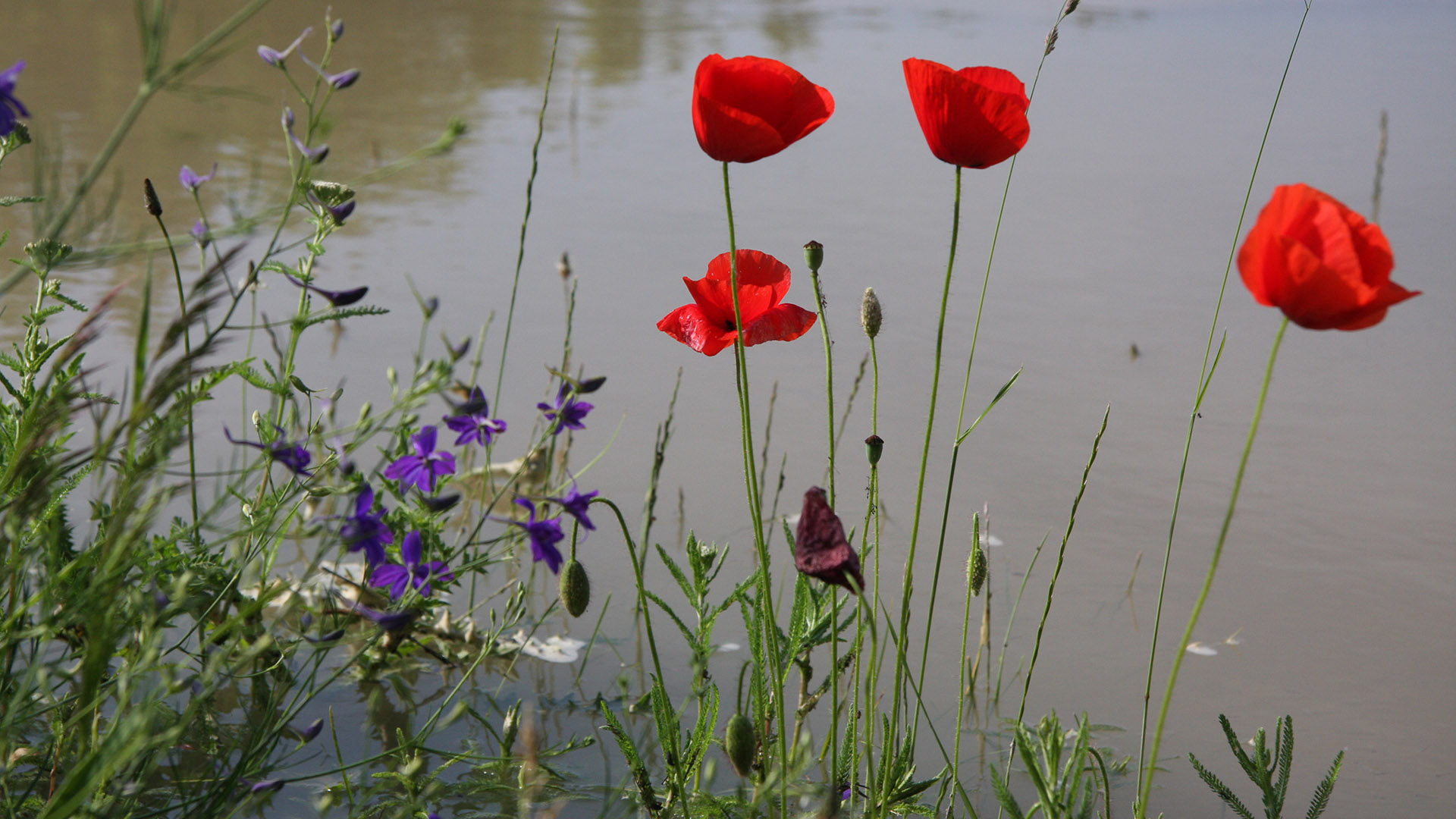 Budapesten buli, hatvanöt folyamkilométerre Esztergomban már nyugalom