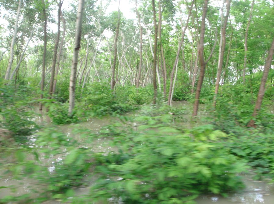 Jól működik a gátőrzés, minket is elkaptak a rendőrök