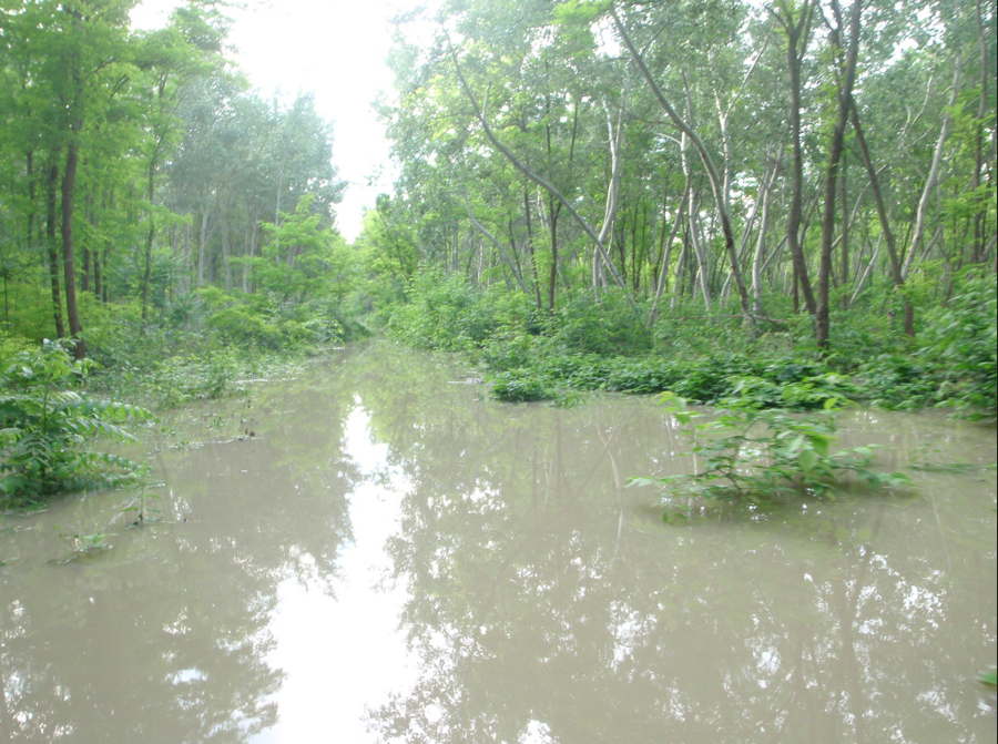 Illustration for article titled Jól működik a gátőrzés, minket is elkaptak a rendőrök