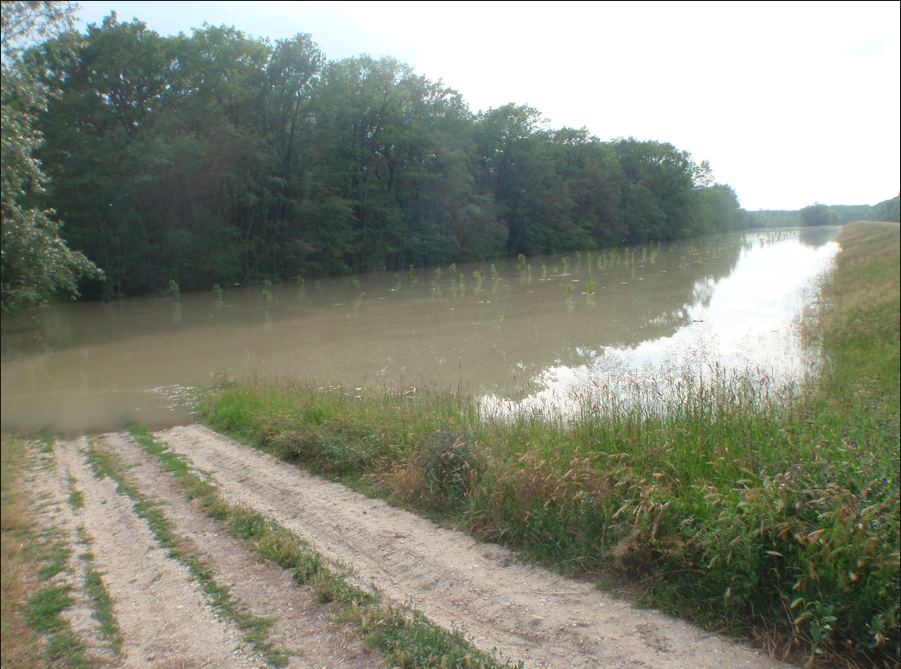 Illustration for article titled Jól működik a gátőrzés, minket is elkaptak a rendőrök