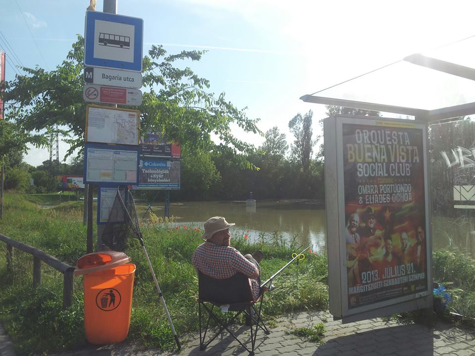 Nekem ez a kedvenc fotóm a tetőzésről