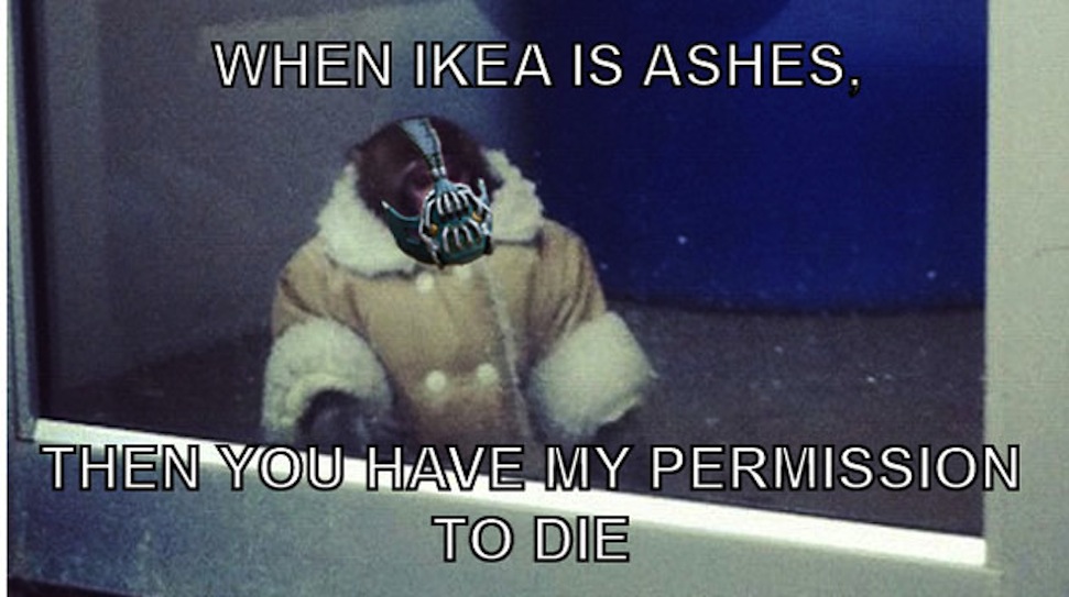 Undorító részletek derülnek ki az IKEA-majom-perben