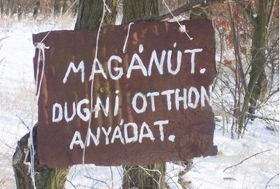 Megtalálták a Belga együttes titkos erdei hobbitelkét! (18+)