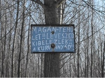 Illustration for article titled Megtalálták a Belga együttes titkos erdei hobbitelkét! (18+)