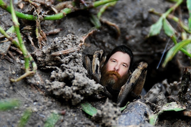 Illustration for article titled Óriáspókok jelentek meg budapesti kertek talajában