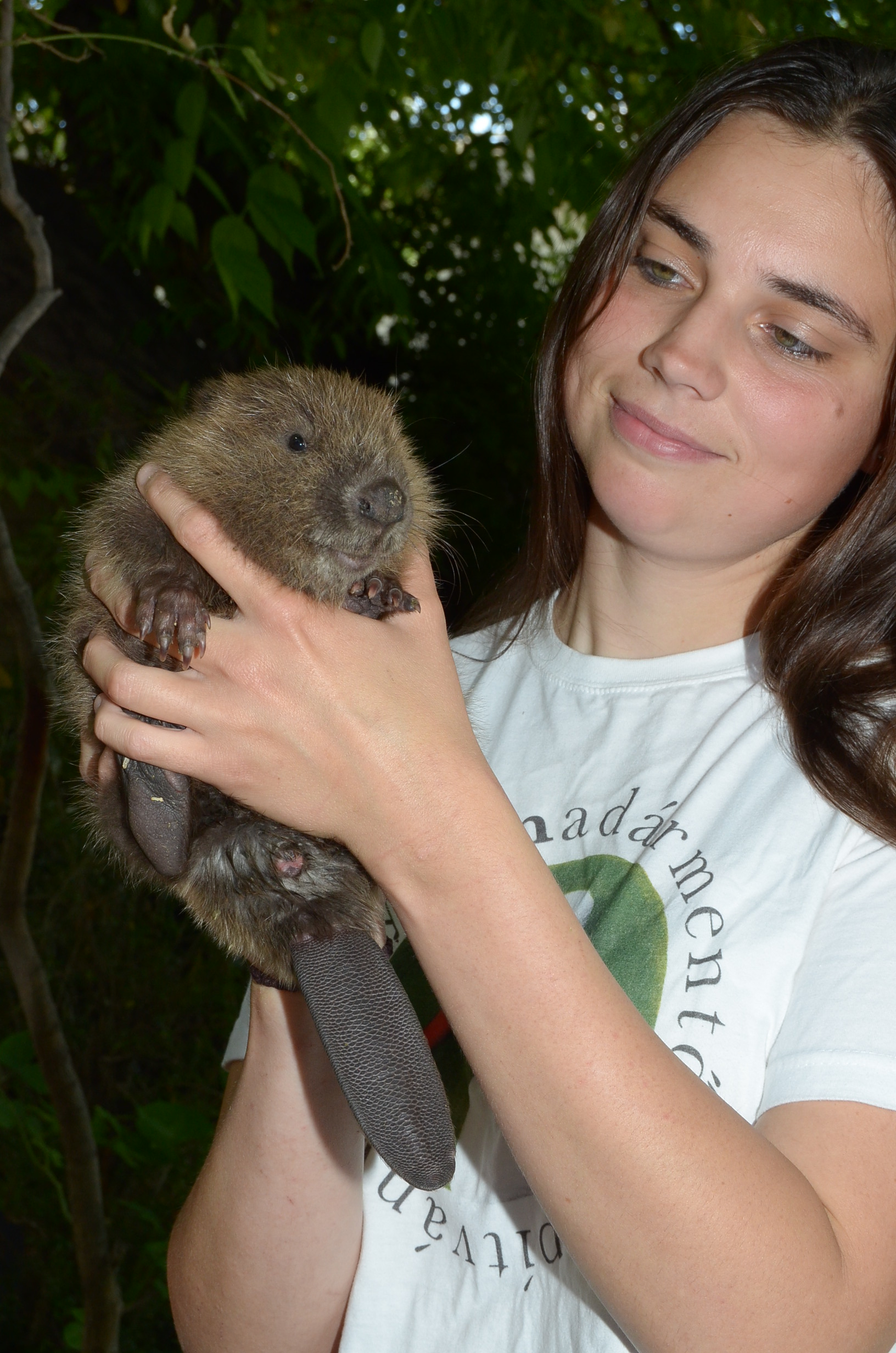 Megmentették a legaranyosabb árvízi áldozatot