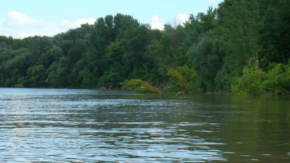 Illustration for article titled Repül a kérész a Maroson