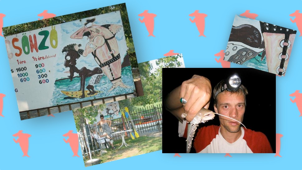 Análcápa ünnepli internetes születésnapját