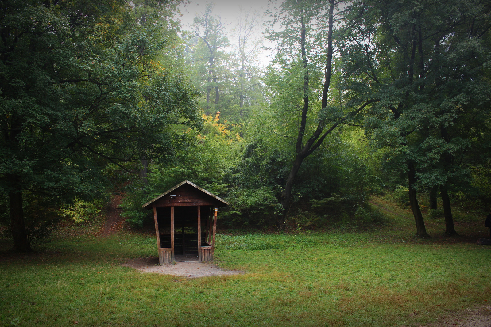 Lefejezett holttestet találtak Budapesten, nem történt bűncselekmény