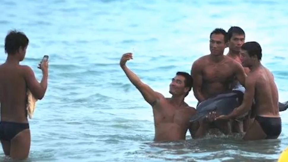 Nem mentették meg, inkább pózoltak a haldokló delfinnel