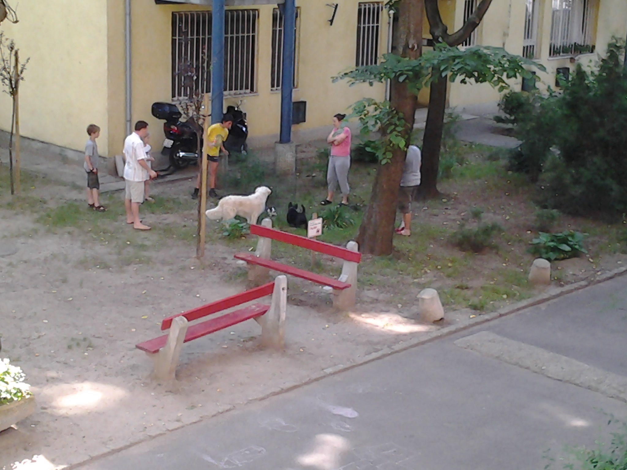 Illustration for article titled Breaking: ismeretlen eredetű nyúl áll a házunk előtt