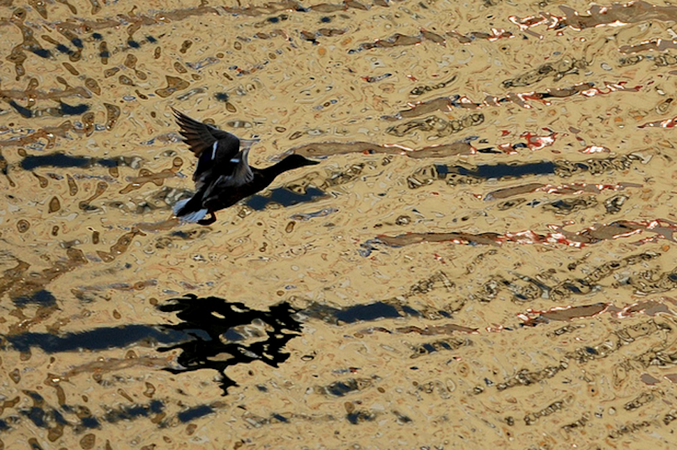 Illustration for article titled Már csak órái vannak hátra a Kossuth téri Kormány-tónak