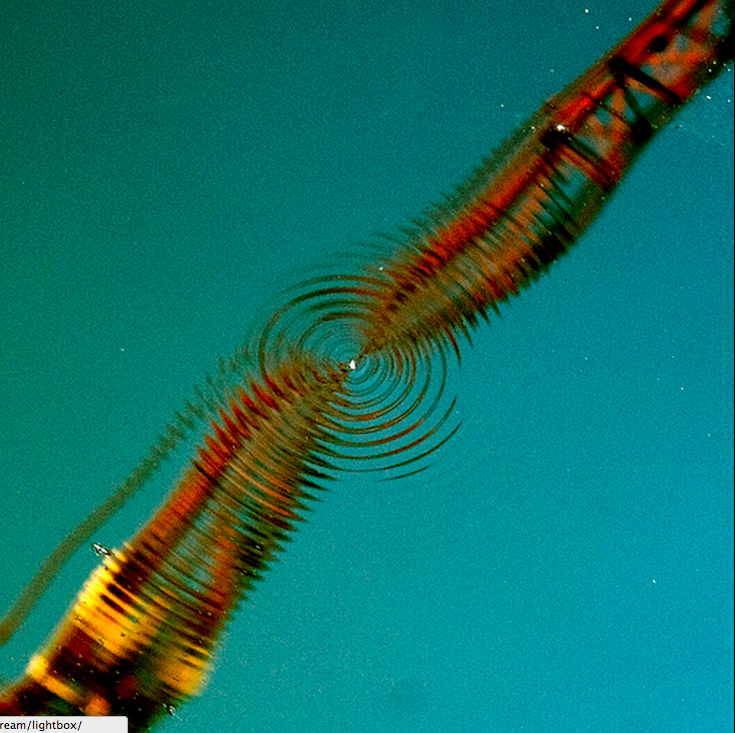 Illustration for article titled Már csak órái vannak hátra a Kossuth téri Kormány-tónak