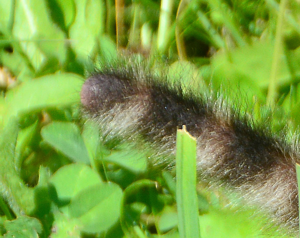 Úristen, olyan cukiság jön mindjárt, hogy leolvadtok