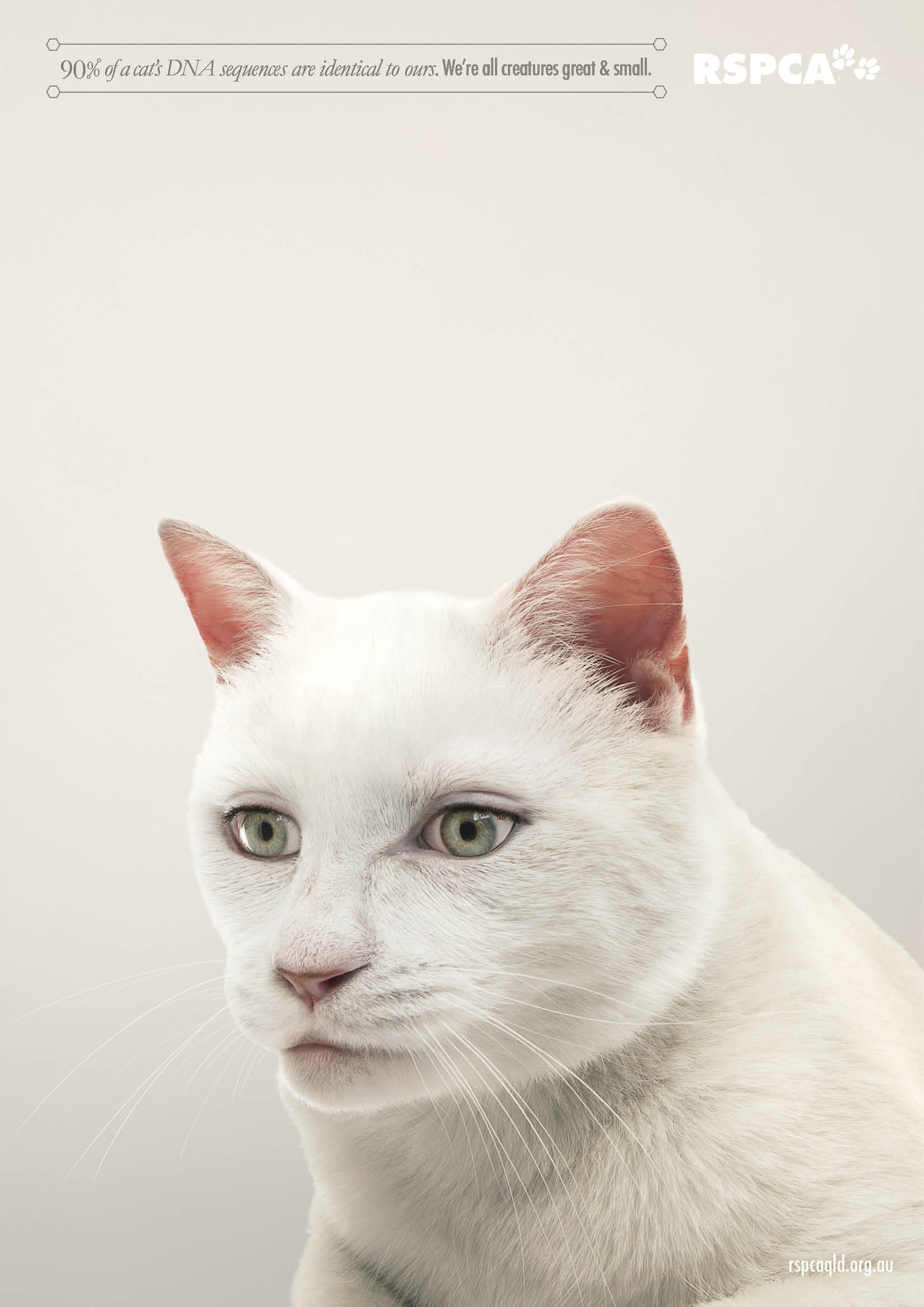 Illustration for article titled Ilyen hátborzongatóan néznének ki az állatok emberszemmel