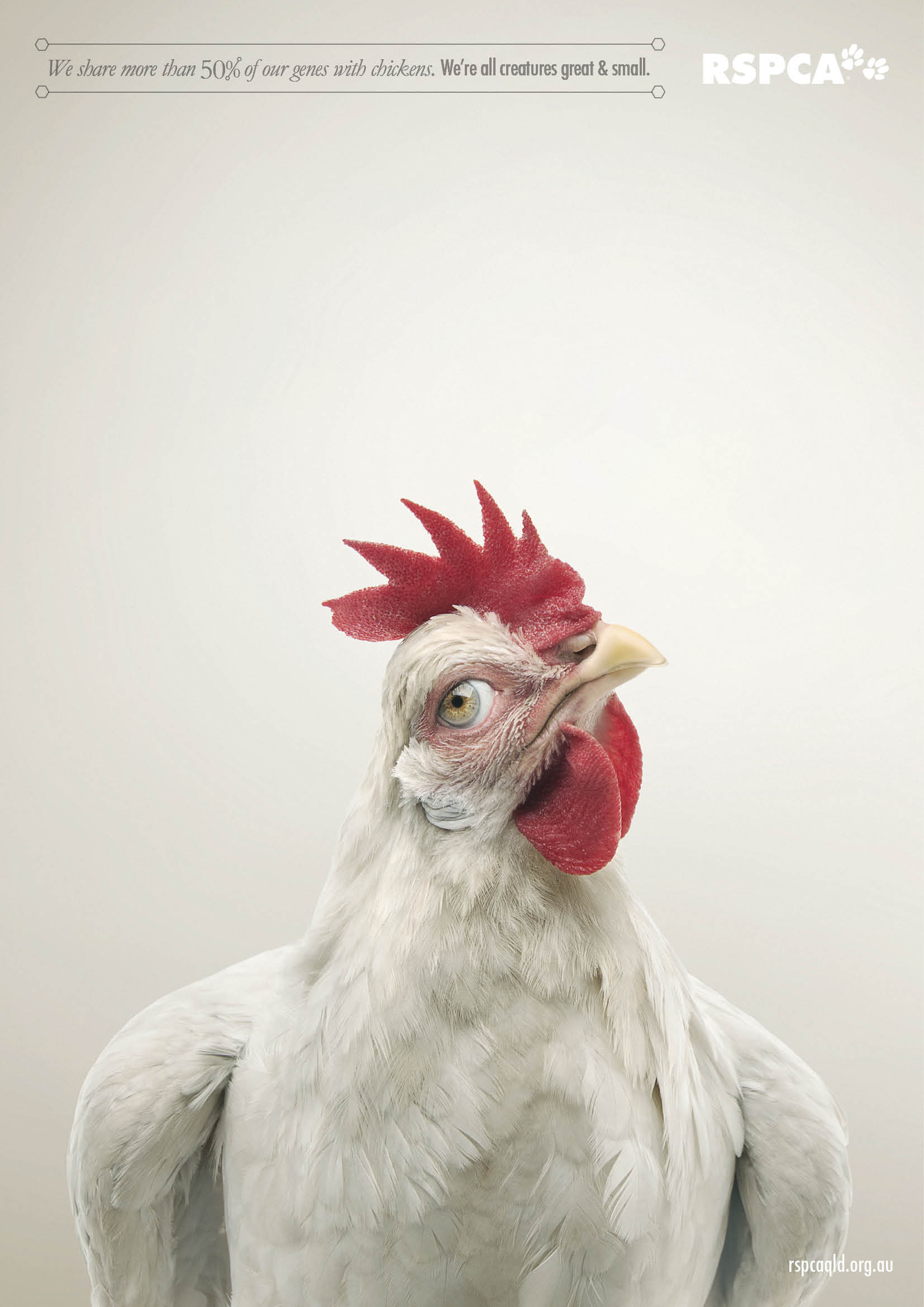 Illustration for article titled Ilyen hátborzongatóan néznének ki az állatok emberszemmel