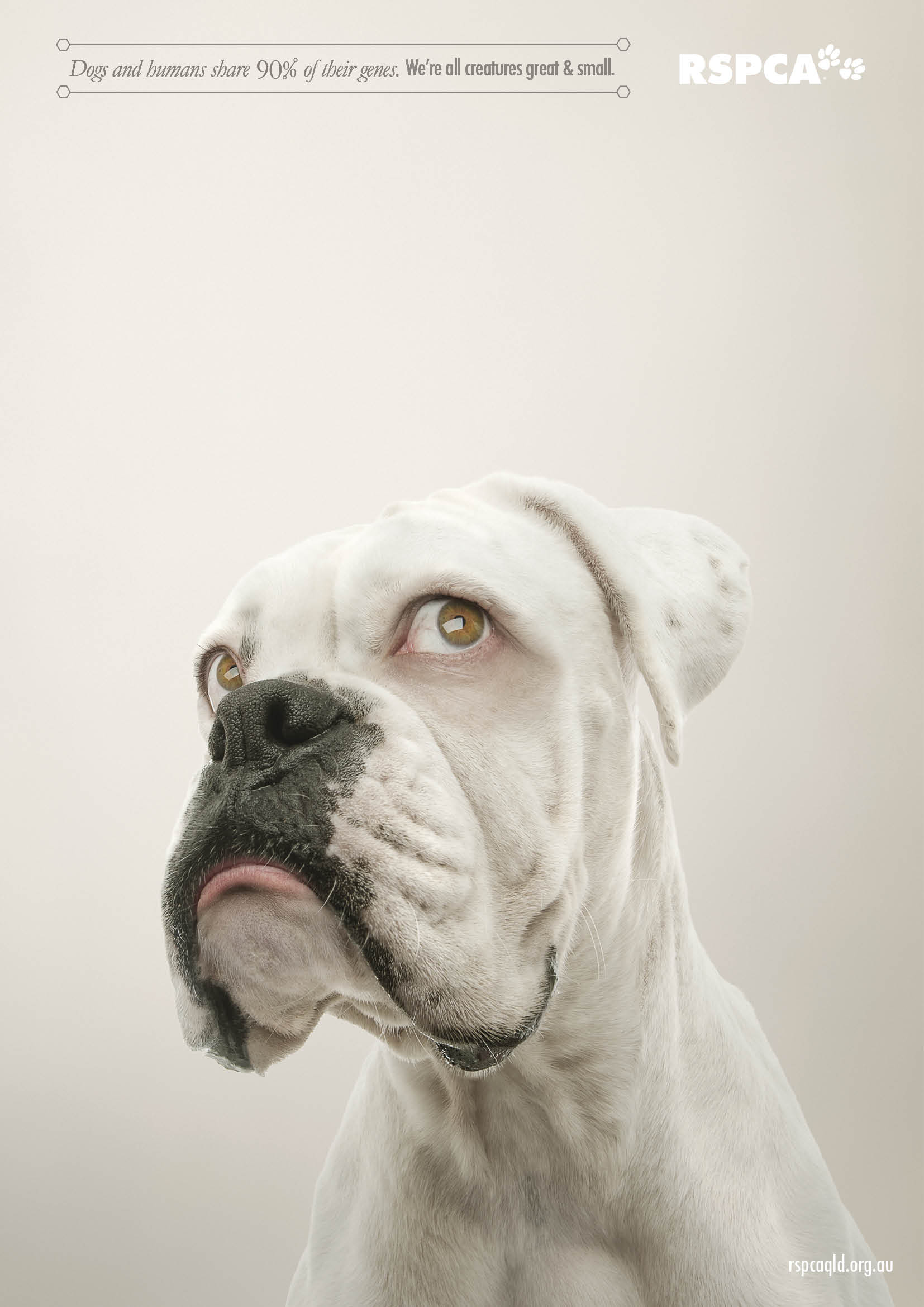 Illustration for article titled Ilyen hátborzongatóan néznének ki az állatok emberszemmel