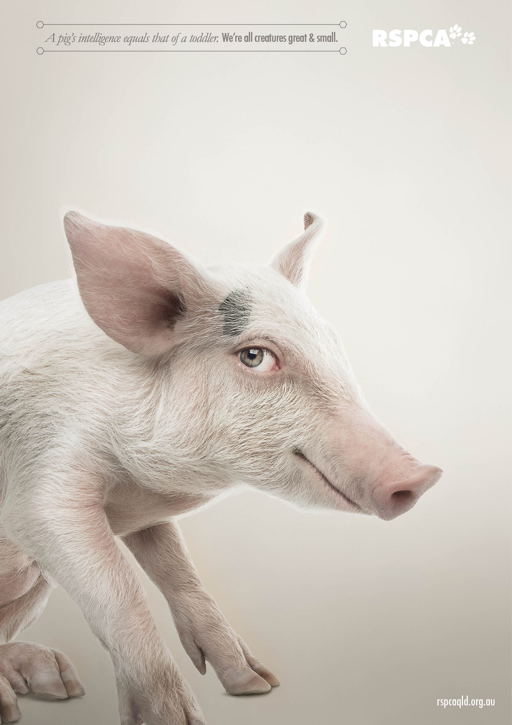 Illustration for article titled Ilyen hátborzongatóan néznének ki az állatok emberszemmel