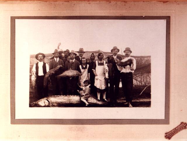 Illustration for article titled Vizapuzzle-lel pózol a helyettes-államtitkár - FRISSÍTVE!