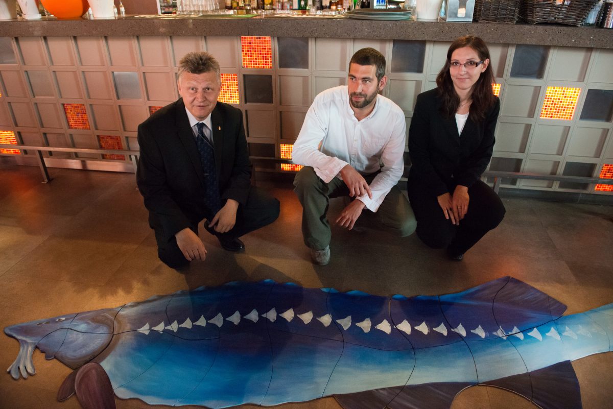 Vizapuzzle-lel pózol a helyettes-államtitkár - FRISSÍTVE!