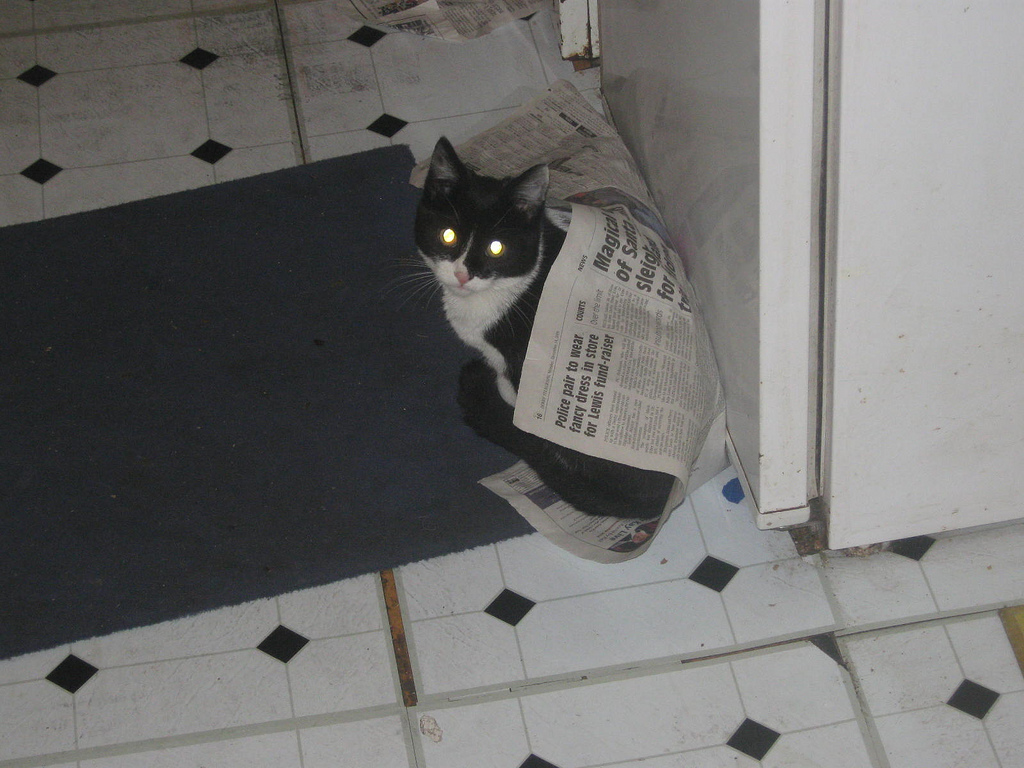 Olvasós villámcsődület lesz az agresszív Sparban