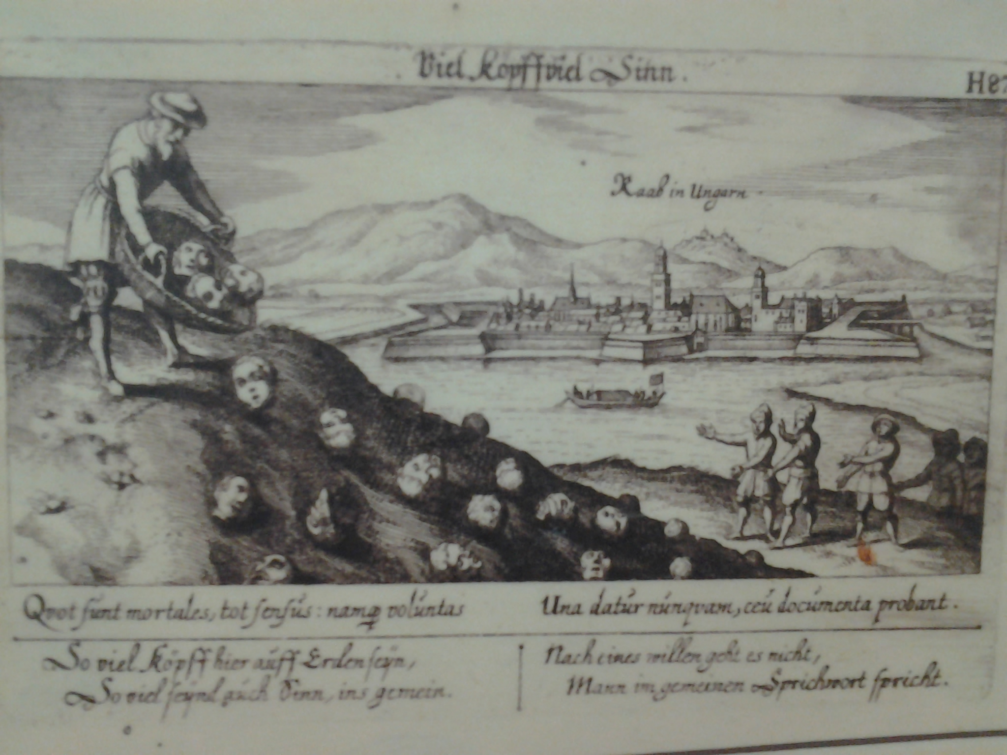 Emberfejeket gurítanak kosárból a Dunába