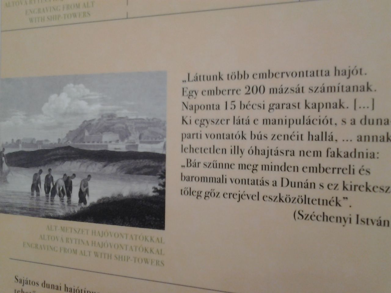 Illustration for article titled Emberfejeket gurítanak kosárból a Dunába