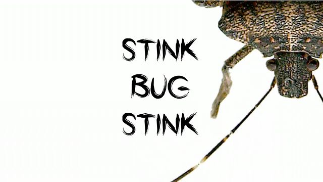 A világ első zenés filmje poloskákkal