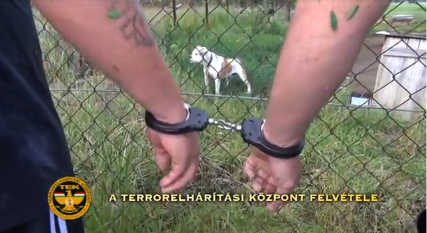 Szívszorító razzia a vidéki kutyaviadalosoknál