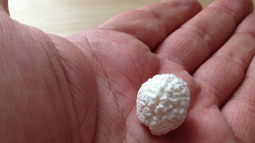 Saját agyát nyomtatta ki a magyar programozó