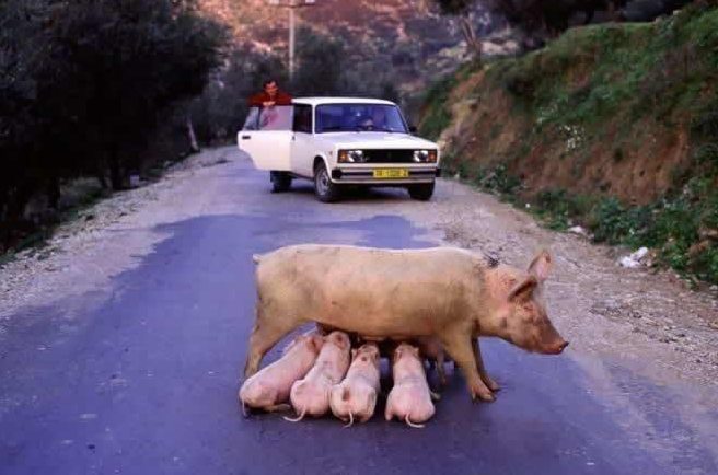 Te mit szólnál, ha ebéd közben valaki szoptatni kezdene melletted?