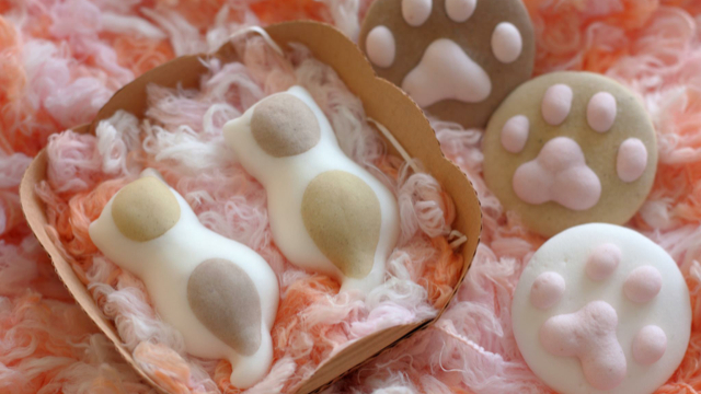 Illustration for article titled A legcukibb az asztalon: kávéban úszó cicacukor